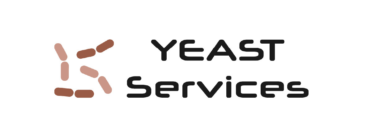 YEAST Services logo
